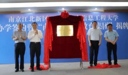 路透社新爆料最新消息视频,最新爆料揭示重大新闻内幕