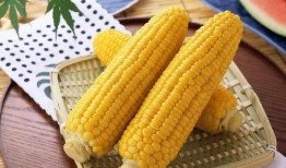 娱乐吃瓜酱玉米粒,揭秘吃瓜酱背后的明星故事