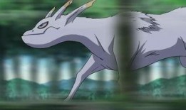 五尾穆王爆料视频大全集,揭秘神秘王者的传奇故事