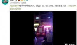 死水最新爆料视频播放网站,视频播放网站幕后真相大曝光