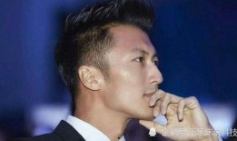 圈内扒叔爆料谢霆锋,扒叔独家爆料揭秘