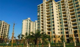 顶楼最新爆料,剧情反转再升级，真相即将揭晓！