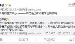 四大绯闻爆料视频大全集,四大绯闻视频大全集深度解析