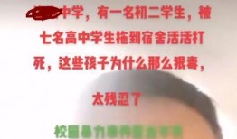 宿州爆料视频最新消息,揭秘惊人真相！