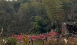 花溪新闻爆料最新消息网