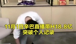 辛巴辛巴最新爆料,揭秘娱乐圈惊人内幕