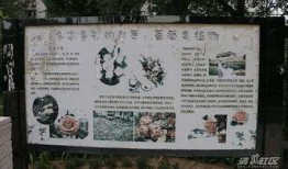 河北张家口爆料新闻,重大事件引发社会关注