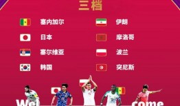 世界杯爆料最新结果,精彩对决不断，悬念迭起！