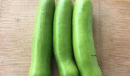 网红吃瓠子瓜,趣味横生引网友热议