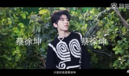 蔡徐坤爆料视频,爆料视频背后的真实瞬间