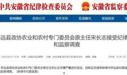 安徽怀远爆料最新新闻视频