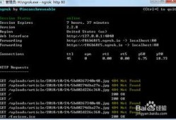 今日外网爆料视频最新,外网最新爆料视频曝光惊人内幕