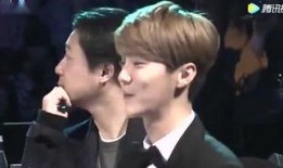 网络爆料李易峰视频大全,全网热议，精彩瞬间回顾