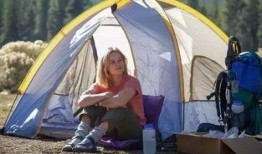 涉足荒野在线观看