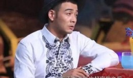 爆料娱乐圈杨烁是谁的孩子,揭秘娱乐圈新晋星二代身份之谜