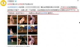 王姓演员被爆料视频播放,真相与争议