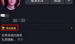 丁真被奇点爆料视频,揭秘背后真相