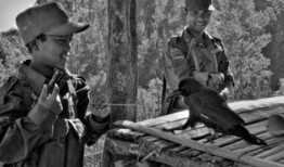 缅甸佤邦爆料视频,真实事件背后的惊人真相