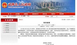 重庆高中爆料新闻报道视频,揭秘校园内幕，视频曝光惊人一幕