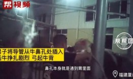 橙衣男子爆料视频播放下载,下载播放量惊人揭秘