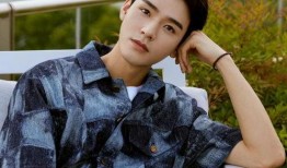 龚俊爆料最新,揭秘娱乐圈背后的惊人真相！