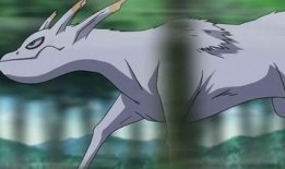 五尾穆王爆料视频大全集,揭秘神秘王者的传奇故事