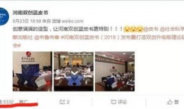 河南网红爆料新闻报道视频,揭秘新闻报道背后的真相