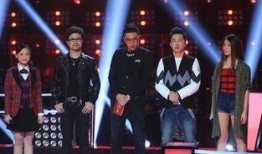 在线观看好声音,音乐梦想的舞台对决