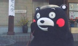 呼叫二狗爆料视频大全最新