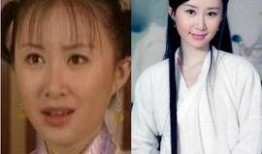 娱乐圈丫鬟爆料,揭秘明星背后的心酸与真相