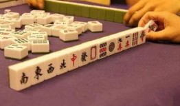 麻将配料爆料视频大全,视频大全带你探秘麻将美食制作过程