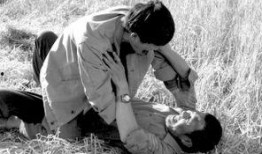 红色康拜因在线观看,在线重温革命史诗的激情岁月