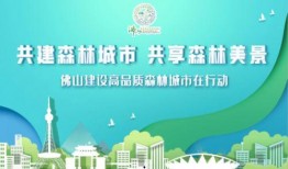 广州社会新闻爆料电话,实时掌握城市脉搏