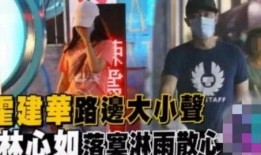 大仙爆料吵架视频播放大全,吵架视频大全引发热议，精彩瞬间盘点