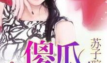 傻瓜在线观看免费,轻松幽默，笑料横生的喜剧盛宴