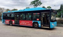 3路公交车爆料新闻视频,揭秘城市交通背后的故事