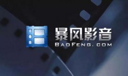 在线观看公司,引领数字娱乐新时代