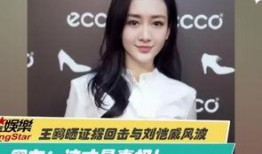 演员王钰爆料视频播放大全,揭秘娱乐圈幕后故事