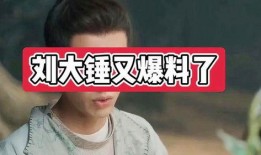 娱乐爆料大锤,娱乐圈最新动态大揭秘！