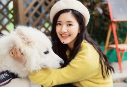 娱乐圈吃瓜兔子是谁啊百度云,揭秘神秘网络红人背后故事