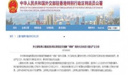 外交部最新爆料信息查询,揭秘国际风云变幻背后的真相
