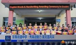 山东东平新闻爆料,揭秘当地热点事件背后的真相