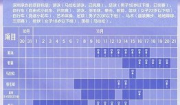 广东新闻今日爆料视频下载