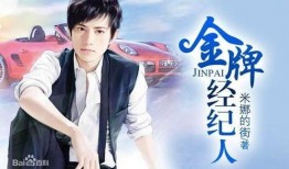 彬斌娱乐圈爆料小说,揭秘明星背后的故事