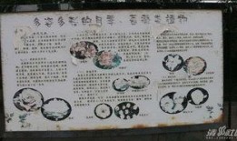 河北张家口爆料新闻,重大事件引发社会关注