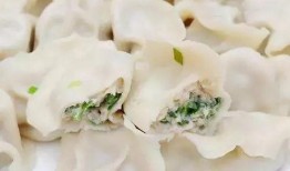 鲅鱼饺子爆料视频大全图片,视频大全图片带你领略传统美食魅力