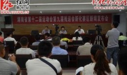 湖南新化新闻爆料,揭秘当地民生热点事件