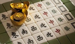 麻将配料爆料视频大全,视频大全带你探秘麻将美食制作过程