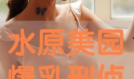 水原 在线观看,在线观看，探索韩国古都的韵味时光