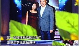 新丽总裁最新爆料消息,影视行业新动向与公司未来布局